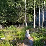 Wood House Garden Lakeview Mjosa -30 Min Osl * Espa