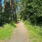 Wood House Garden Lakeview Mjosa -30 Min Osl